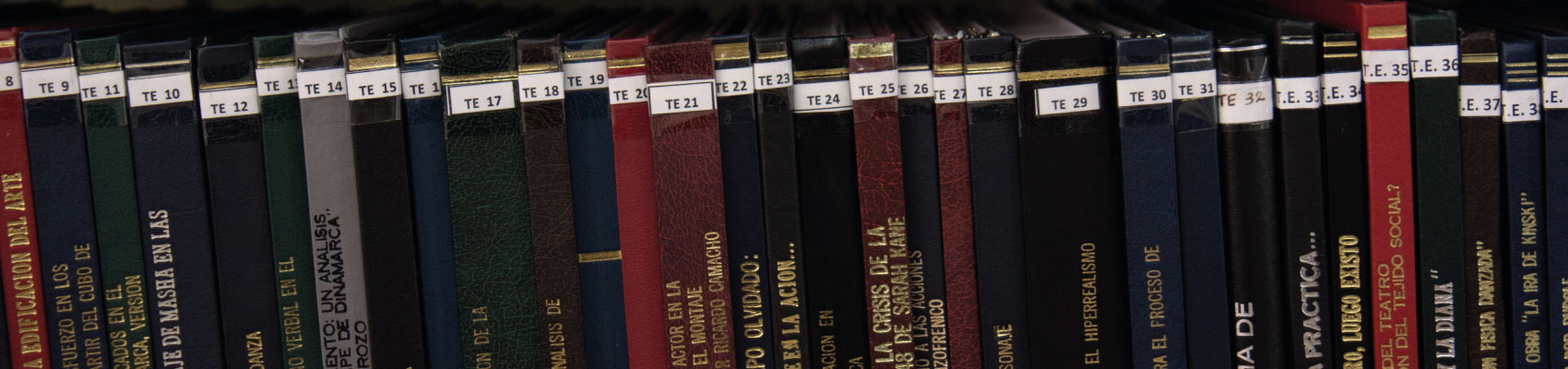 Imagen exposición Grado